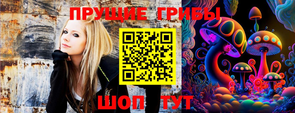 Галлюциногенные грибы Cubensis Назрань