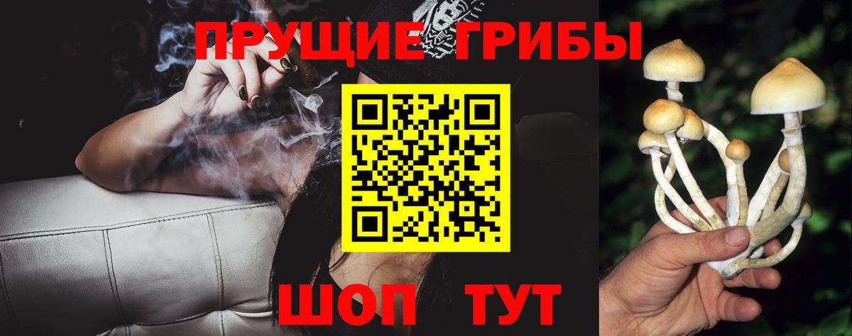 Назрань  Псилоцибиновые грибы мухоморы  Вход с VPN 